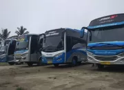 Alamat dan no hp Bus Putra Sulung, Jurusan Jakarta – Belitang