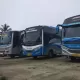 Armada Bus Putra Sulung, Jakarta - Belitang